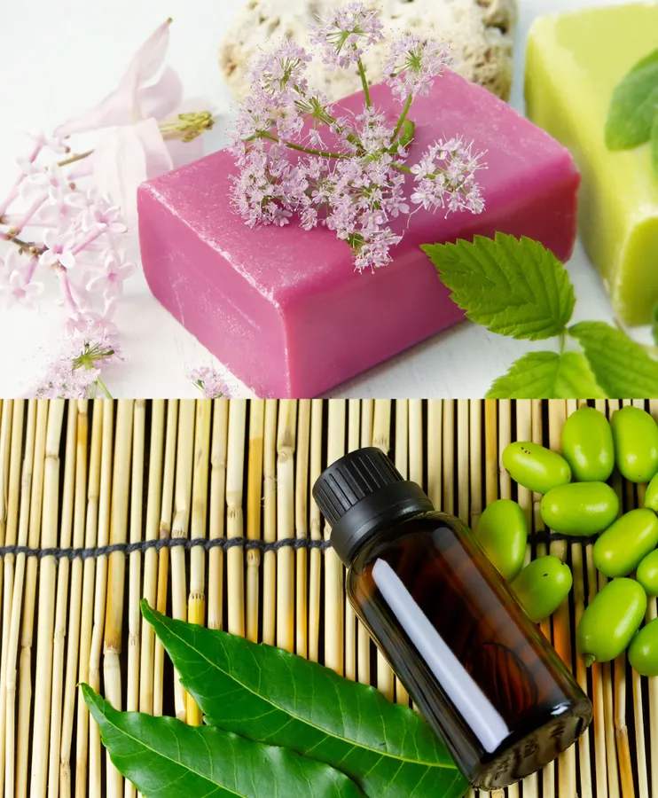 Nandy’s Natural Mantra