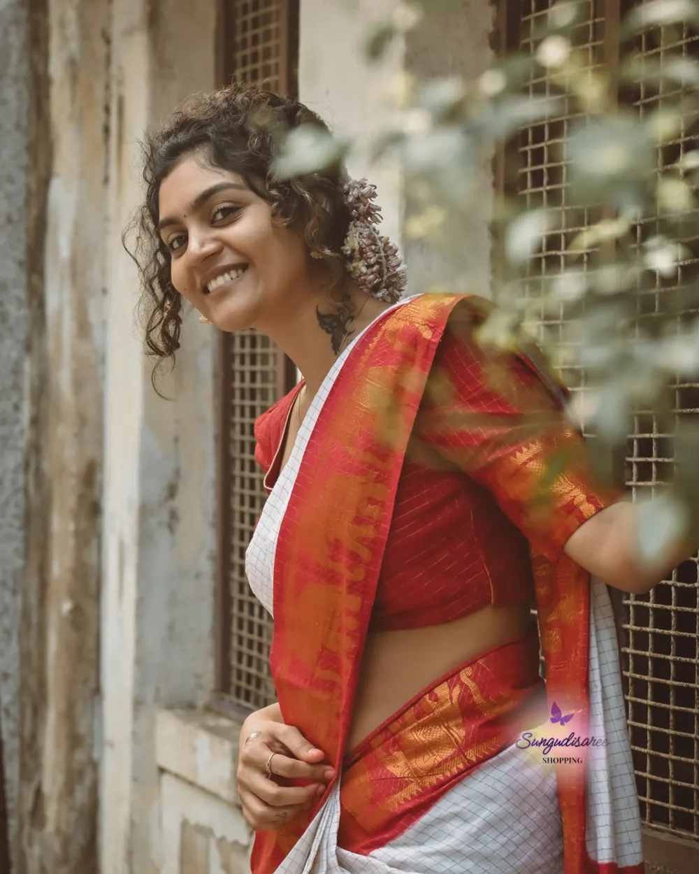 Rashmika inspired elephant border saree