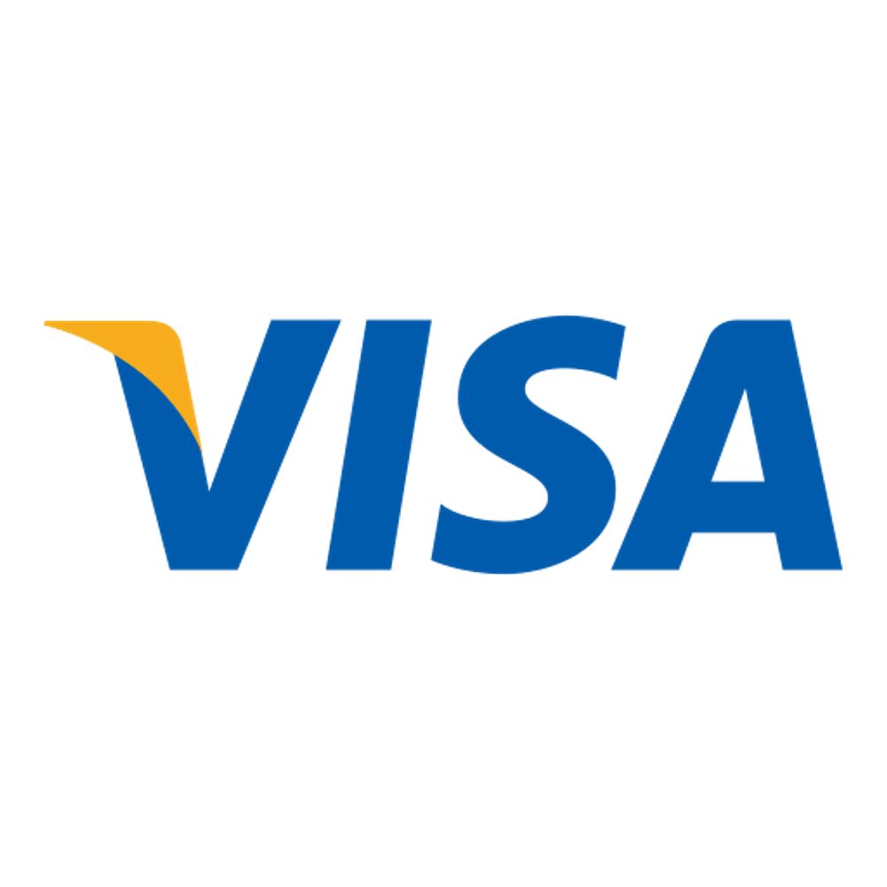 Visa card icon