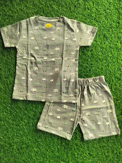 Grey Vehicle Coord BS005
