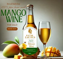 Mango WINE