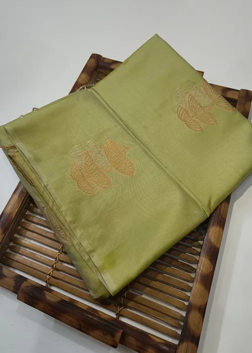 Borderless Guava Green Soft Silk