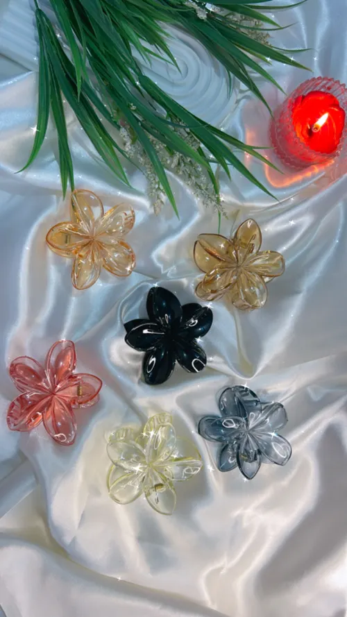 Floral Transparent