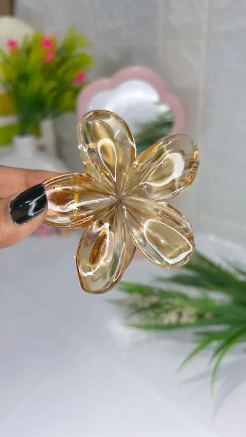 Floral Transparent