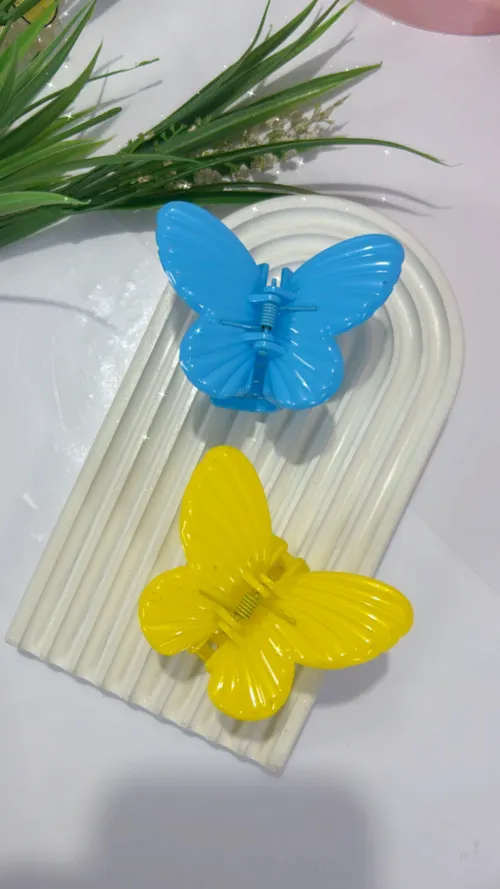 BUTTERFLY