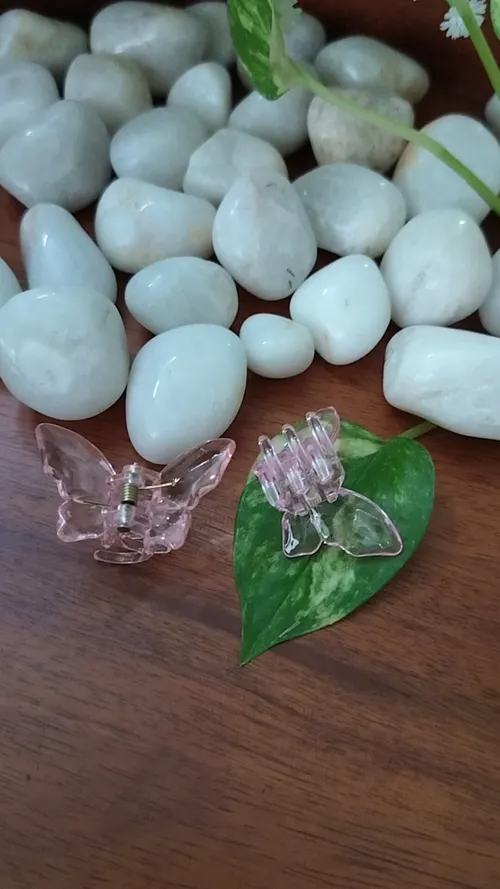 Transparent Clip 2
