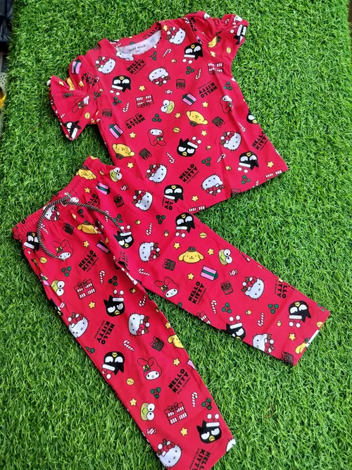 Kitty Party Pant Set
