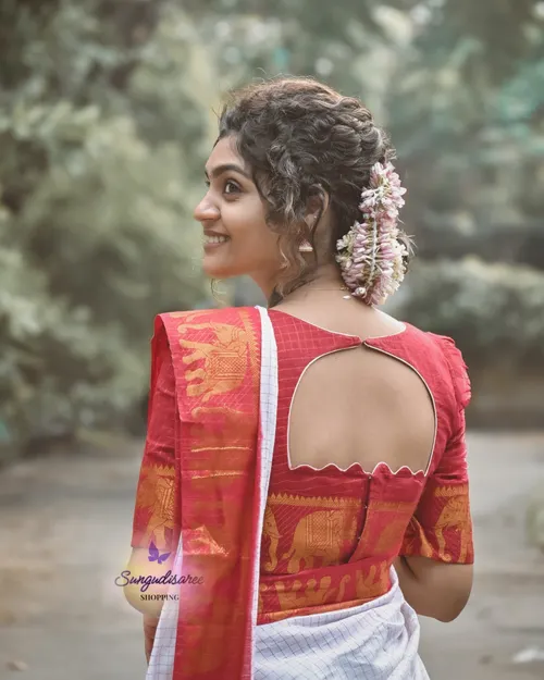 Rashmika inspired elephant border saree